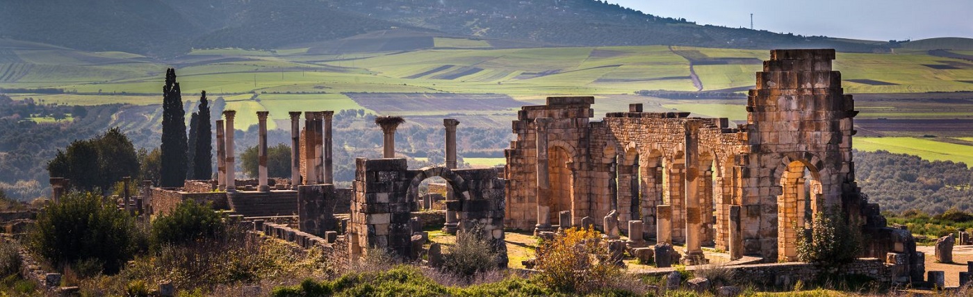 Volubilis tour
